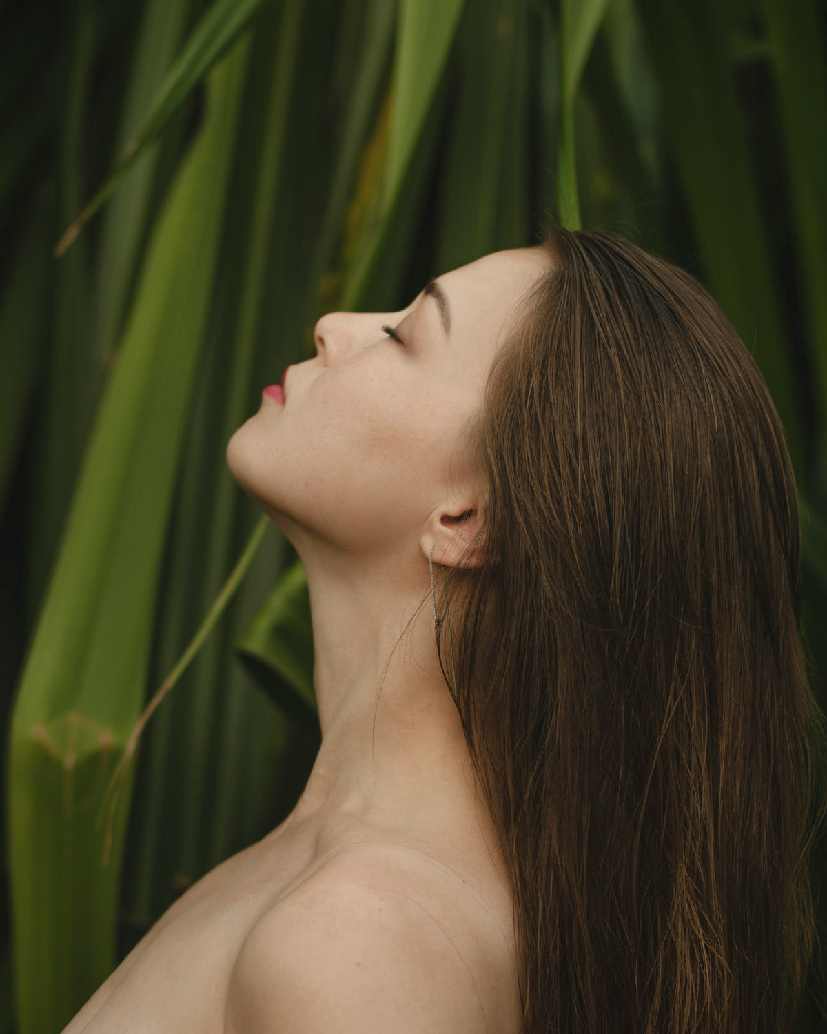 Wild Fig Mimosa Fragrance Oil