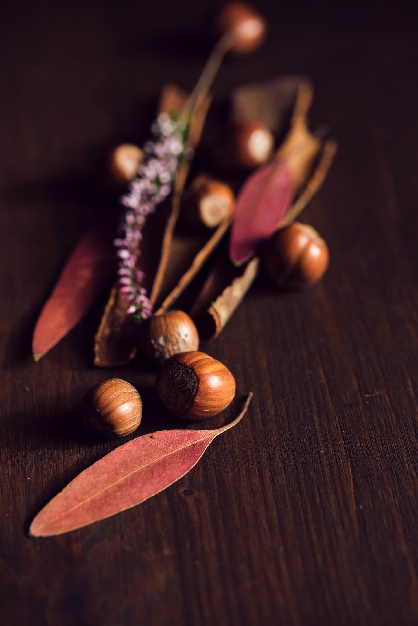 Hazelnut Tree Fragrance Oil