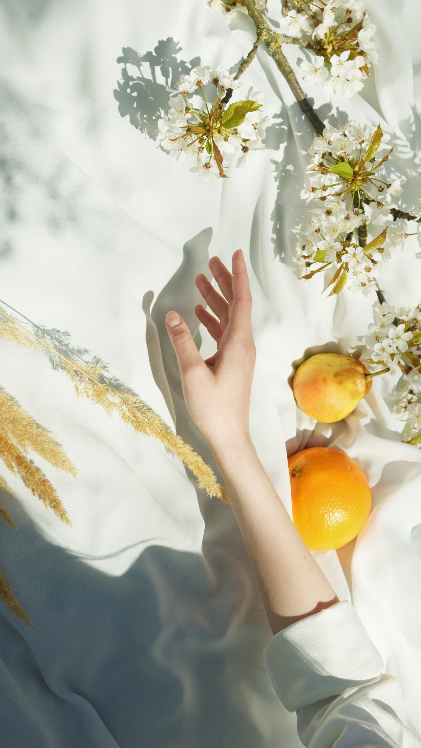 Sunset Boulevard Fragrance Oil